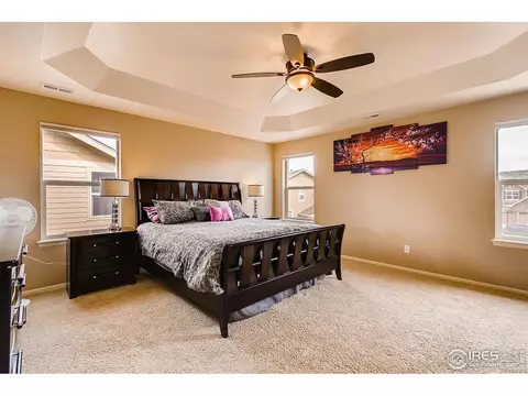 2137 Longfin Dr, Windsor, CO 80550 photo 9