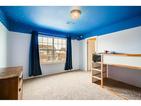 2137 Longfin Dr, Windsor, CO 80550 photo 16