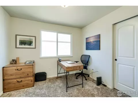 248 Castle Dr, Windsor, CO 80550 photo 31
