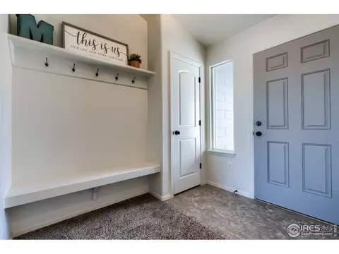 248 Castle Dr, Windsor, CO 80550 photo 20