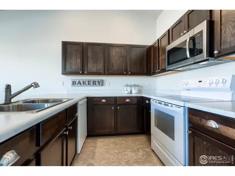 248 Castle Dr, Windsor, CO 80550 photo 10