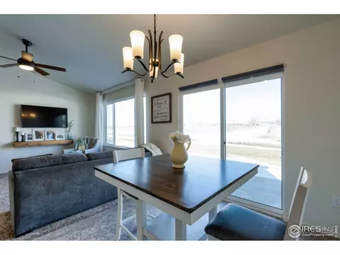 248 Castle Dr, Windsor, CO 80550 photo 19