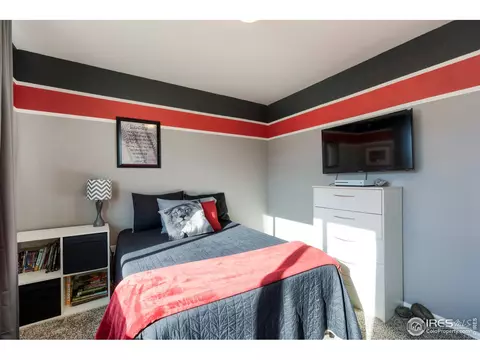248 Castle Dr, Windsor, CO 80550 photo 28