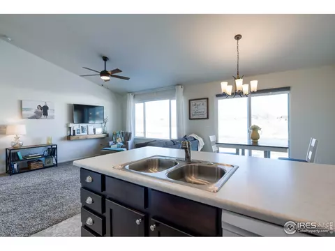 248 Castle Dr, Windsor, CO 80550 photo 13