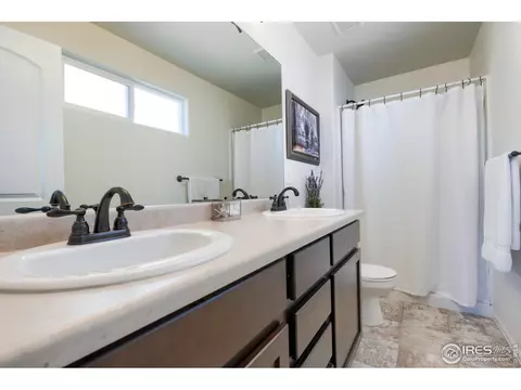 248 Castle Dr, Windsor, CO 80550 photo 26