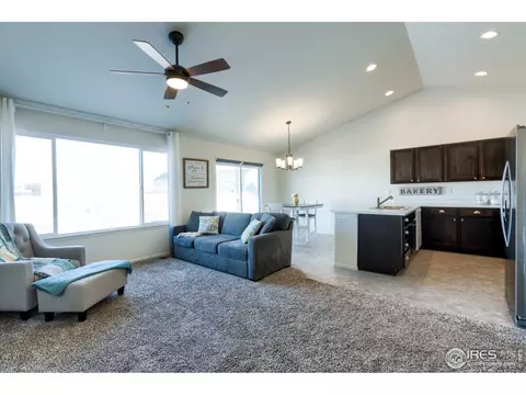 248 Castle Dr, Windsor, CO 80550 photo 5
