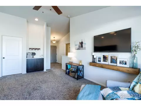 248 Castle Dr, Windsor, CO 80550 photo 7