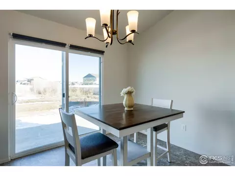 248 Castle Dr, Windsor, CO 80550 photo 16
