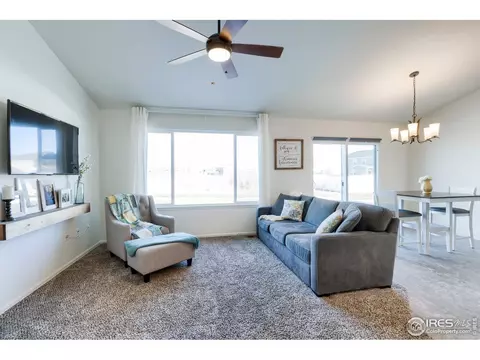 248 Castle Dr, Windsor, CO 80550 photo 4