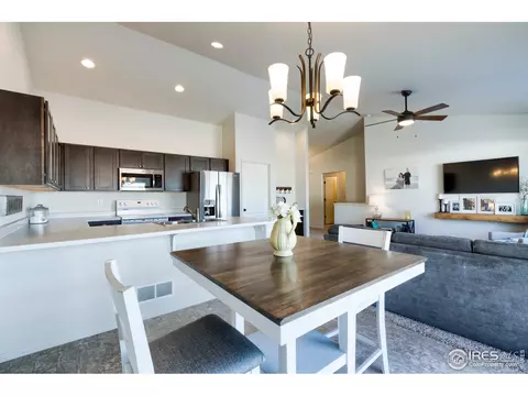 248 Castle Dr, Windsor, CO 80550 photo 18