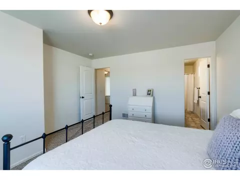 248 Castle Dr, Windsor, CO 80550 photo 24
