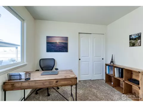 248 Castle Dr, Windsor, CO 80550 photo 32