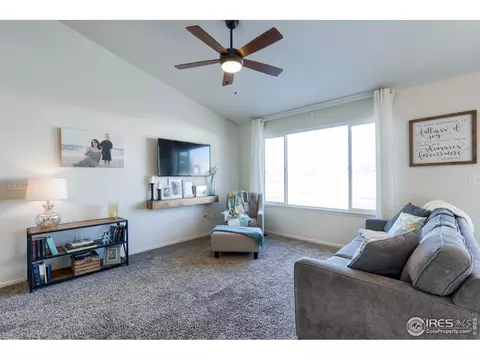 248 Castle Dr, Windsor, CO 80550 photo 8