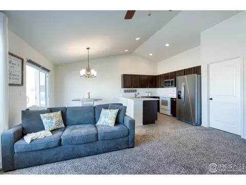 248 Castle Dr, Windsor, CO 80550 photo 6