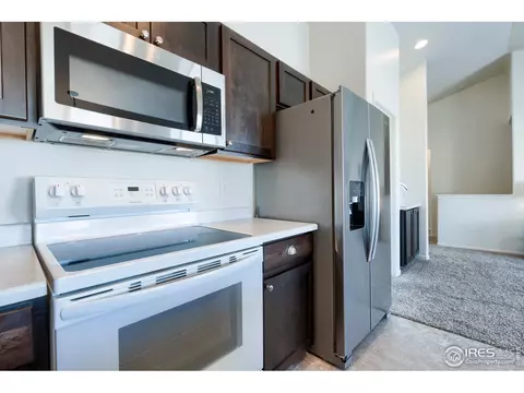 248 Castle Dr, Windsor, CO 80550 photo 14