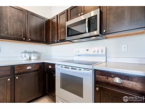 248 Castle Dr, Windsor, CO 80550 photo 11