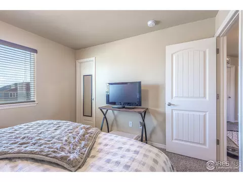 5635 Clarence Dr, Windsor, CO 80550 photo 28