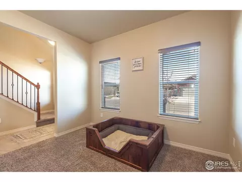 5635 Clarence Dr, Windsor, CO 80550 photo 19