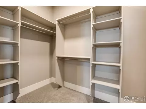 6309 Foundry Ct, Timnath, CO 80547 photo 23