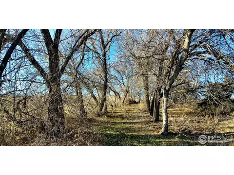 2112 7th St, Windsor, CO 80550 photo 12