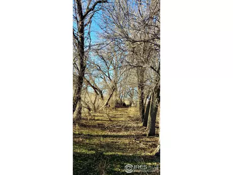 2112 7th St, Windsor, CO 80550 photo 10