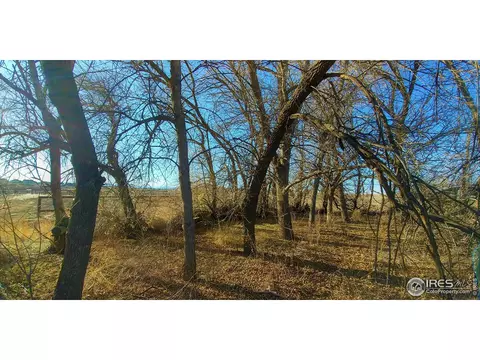2112 7th St, Windsor, CO 80550 photo 11