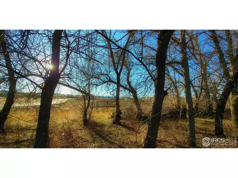 2112 7th St, Windsor, CO 80550 photo 9