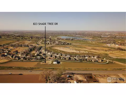 823 Shade Tree Dr, Windsor, CO 80550 photo 15