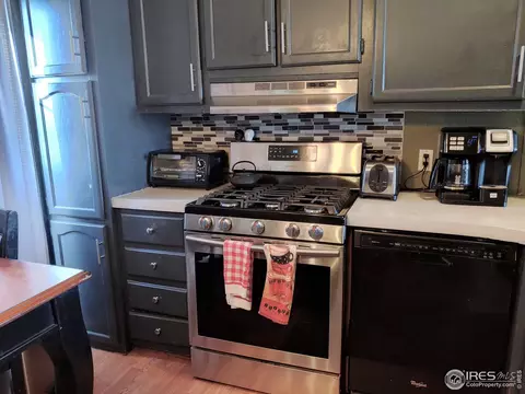 15685 Mary Ave, Fort Lupton, CO 80621 photo 7