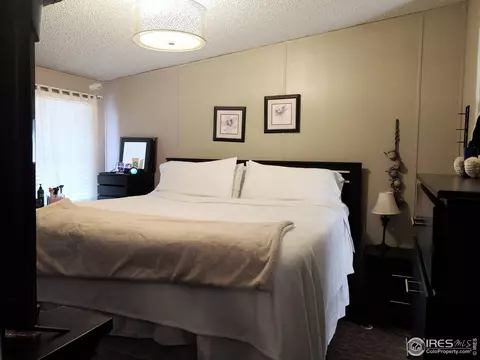 15685 Mary Ave, Fort Lupton, CO 80621 photo 11