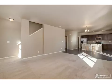 911 Pierson Ct, Windsor, CO 80550 photo 13