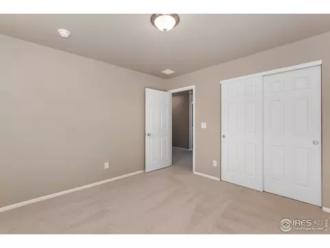 911 Pierson Ct, Windsor, CO 80550 photo 19