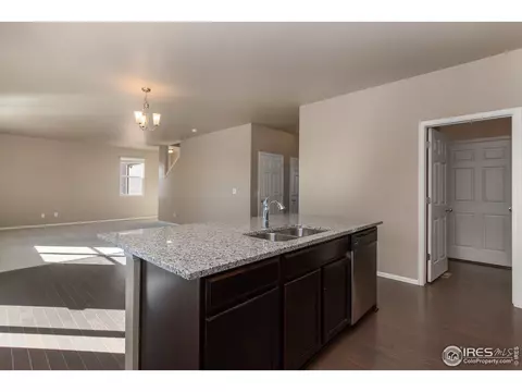 911 Pierson Ct, Windsor, CO 80550 photo 10