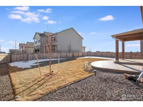 911 Pierson Ct, Windsor, CO 80550 photo 33