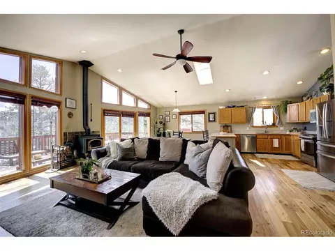 454 Conifer Dr, Bailey, CO 80421 photo 9