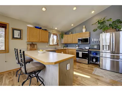454 Conifer Dr, Bailey, CO 80421 photo 13