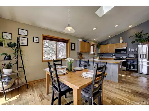 454 Conifer Dr, Bailey, CO 80421 photo 21