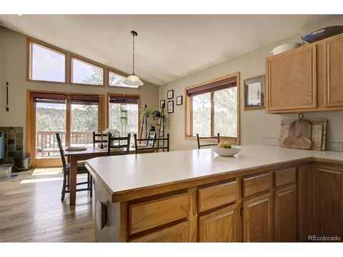 454 Conifer Dr, Bailey, CO 80421 photo 14