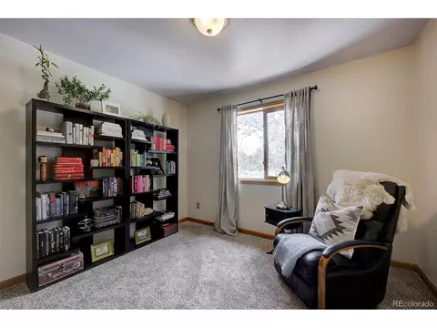454 Conifer Dr, Bailey, CO 80421 photo 32