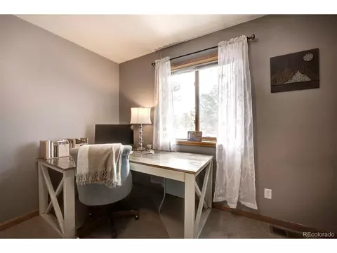 454 Conifer Dr, Bailey, CO 80421 photo 30