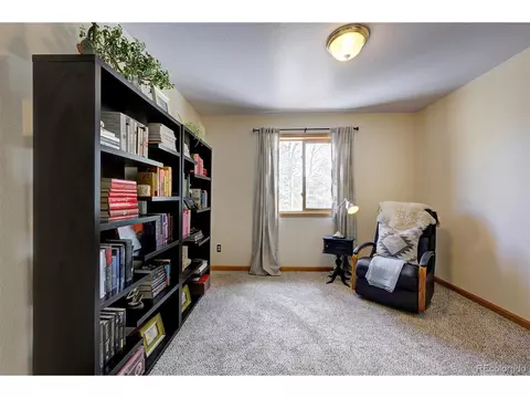 454 Conifer Dr, Bailey, CO 80421 photo 33