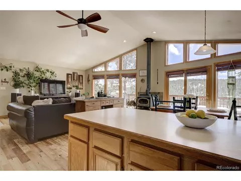 454 Conifer Dr, Bailey, CO 80421 photo 5