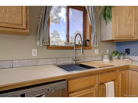 454 Conifer Dr, Bailey, CO 80421 photo 16