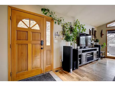 454 Conifer Dr, Bailey, CO 80421 photo 11