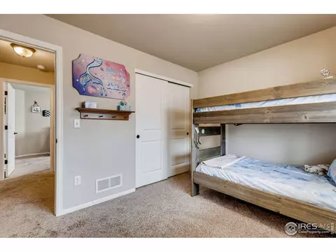 2061 Grain Bin Dr, Windsor, CO 80550 photo 17