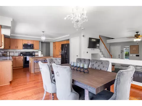 18776 E 51st Pl, Denver, CO 80249 photo 8