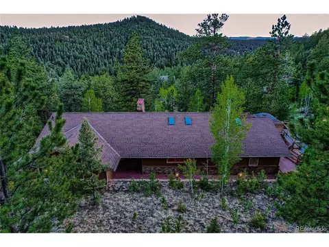 34990 Lower Aspen Ln, Pine, CO 80470 photo 3