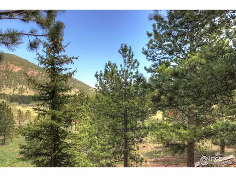 278 Taylor Rd, Lyons, CO 80540 photo 4
