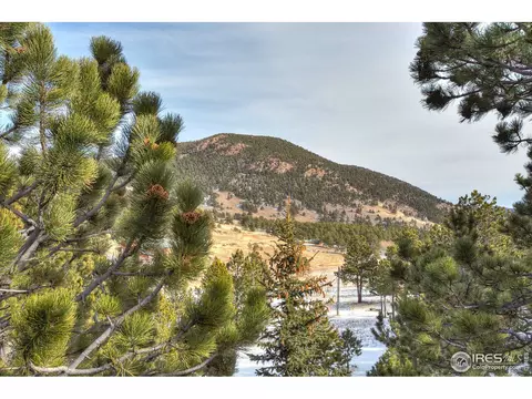 278 Taylor Rd, Lyons, CO 80540 photo 24