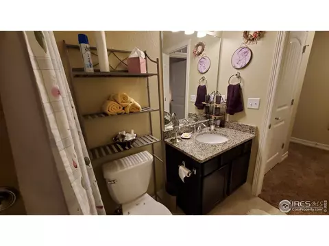5408 Osbourne Dr, Windsor, CO 80550 photo 18